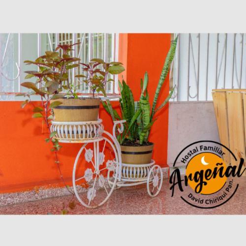 Hostal Familiar Argenal - David Exterior photo